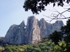Dentelles de Montmirail