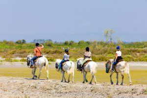 Reiter in Südfrankreich, Camargue