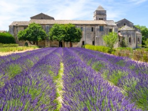 Saint-Paul-de-Mausole, Saint-Rémy-de-Provence. Vincent van Gogh (1853–1890), holländischer Maler, wurde in den Jahren 1889/90 in der Psychiatrischen Klinik des örtlichen Klosters behandelt. (Foto: istockphoto.com) Saint-Paul-de-Mausole, Saint-Rémy-de-Provence